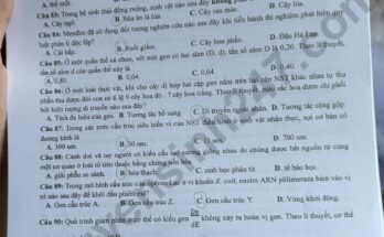 Đề Thi Tốt Nghiệp THPT Môn Sinh 2024
