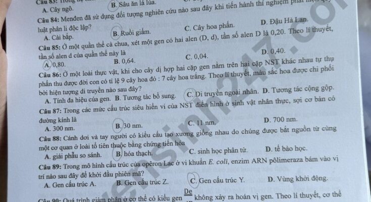 Đề Thi Tốt Nghiệp THPT Môn Sinh 2024
