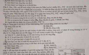 Đề Thi Tốt Nghiệp THPT Môn Sinh 2025