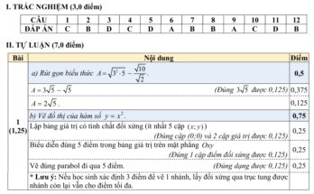 Đáp án Đề tuyển sinh lớp 10 môn Toán năm 2025 – 2026 sở GD&ĐT Quảng Nam