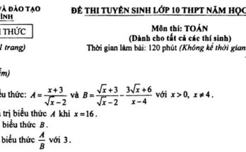 Đề tuyển sinh lớp 10 THPT môn Toán năm 2024 – 2025 sở GD&ĐT Thái Bình