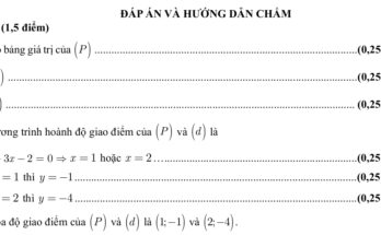 đáp án Đề tuyển sinh lớp 10 môn Toán năm 2024 – 2025 sở GD&ĐT TP Hồ Chí Minh