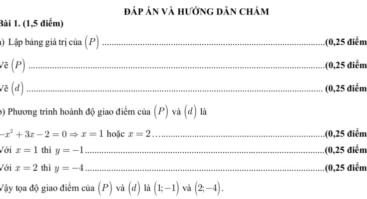 đáp án Đề tuyển sinh lớp 10 môn Toán năm 2024 – 2025 sở GD&ĐT TP Hồ Chí Minh