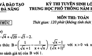 Đề tuyển sinh lớp 10 môn Toán năm 2023 – 2024 sở GD&ĐT Đà Nẵng