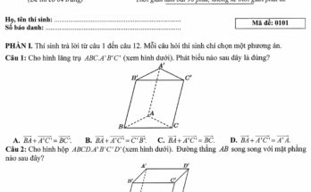 Đề chính thức kỳ thi tốt nghiệp THPT năm 2025 môn Toán