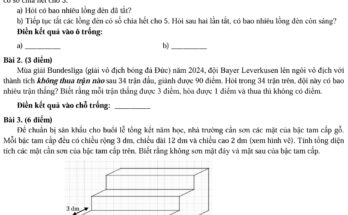Đề thi vào lớp 6 Trường Trần Đại Nghĩa
