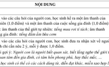 Đề thi vào lớp 6 môn Ngữ Văn 2024-2025 Trường Trần Đại Nghĩa thành phố Hồ Chí Minh