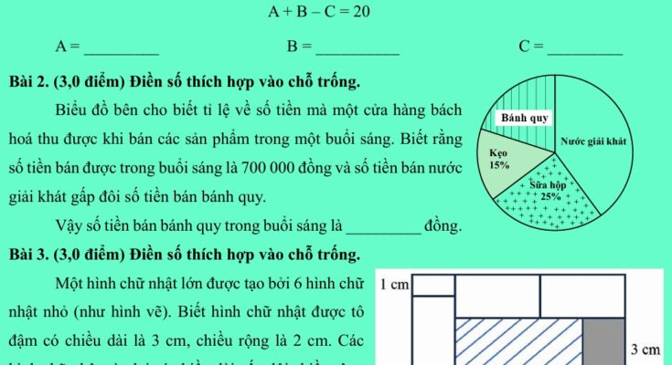 Đề thi vào lớp 6 môn Toán 2024-2025 Trường điểm TP. Thủ Đức thành phố Hồ Chí Minh