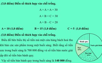 Đáp án Đề thi vào lớp 6 môn Toán 2024-2025 Trường điểm TP. Thủ Đức thành phố Hồ Chí Minh