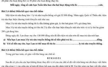 Đề thi vào lớp 6 môn Toán 2024-2025 Trường Nguyễn Hữu Thọ – Quận 7 thành phố Hồ Chí Minh