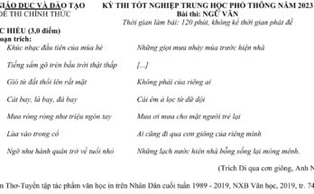 Đề chính thức kỳ thi tốt nghiệp THPT năm 2023 môn Ngữ Văn