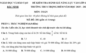 đề thi tuyển sinh vào lớp 6 môn Toán 2025