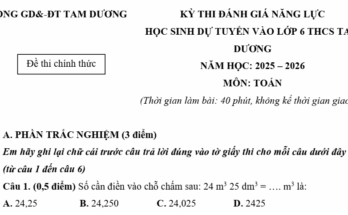 Đề thi tuyển sinh vào lớp 6 môn Toán trường THCS Tam Dương Vĩnh Phúc năm 2025