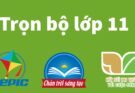 Sách giáo khoa lớp 11 online chương trình mới trọn bộ