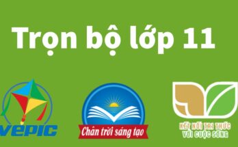 sách giáo khoa lớp 11