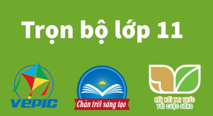 sách giáo khoa lớp 11