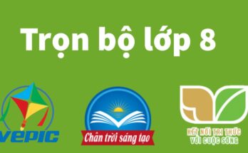 sách giáo khoa lớp 8